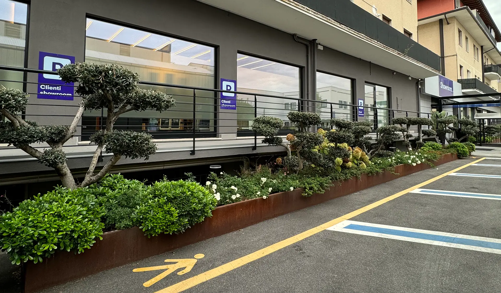 Welcome to the showroom